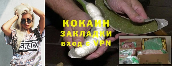 твердый Аркадак