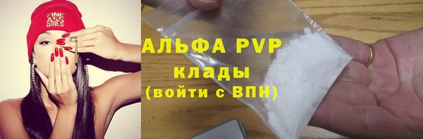 твердый Аркадак