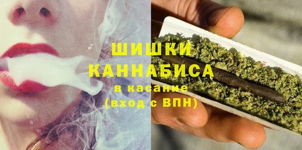 твердый Аркадак
