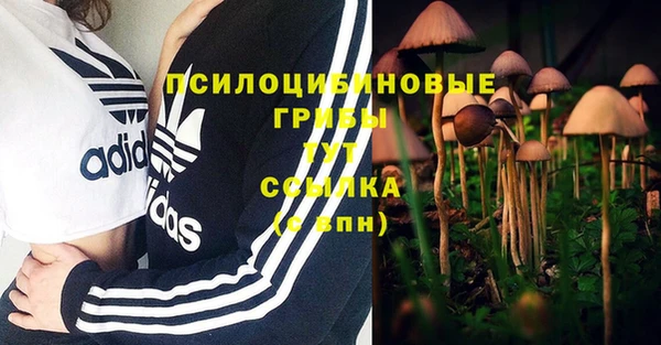 mix Арсеньев