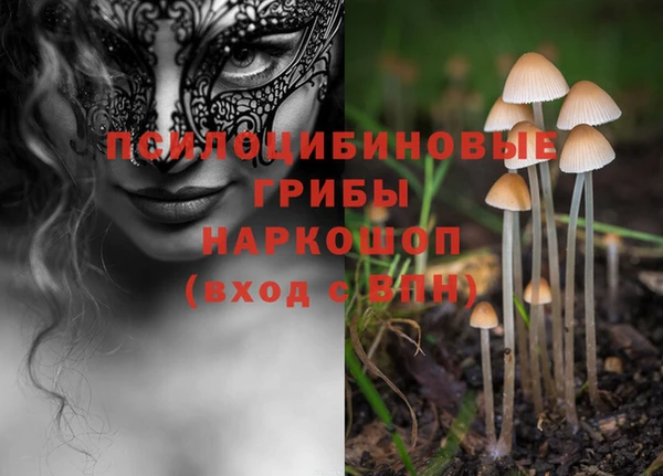 твердый Аркадак