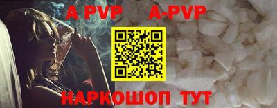 стаф Новокубанск