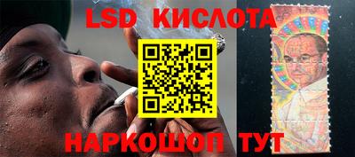 spice Новозыбков