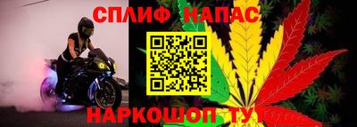 spice Новозыбков