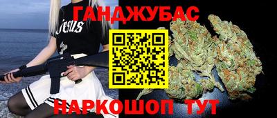 стаф Новокубанск