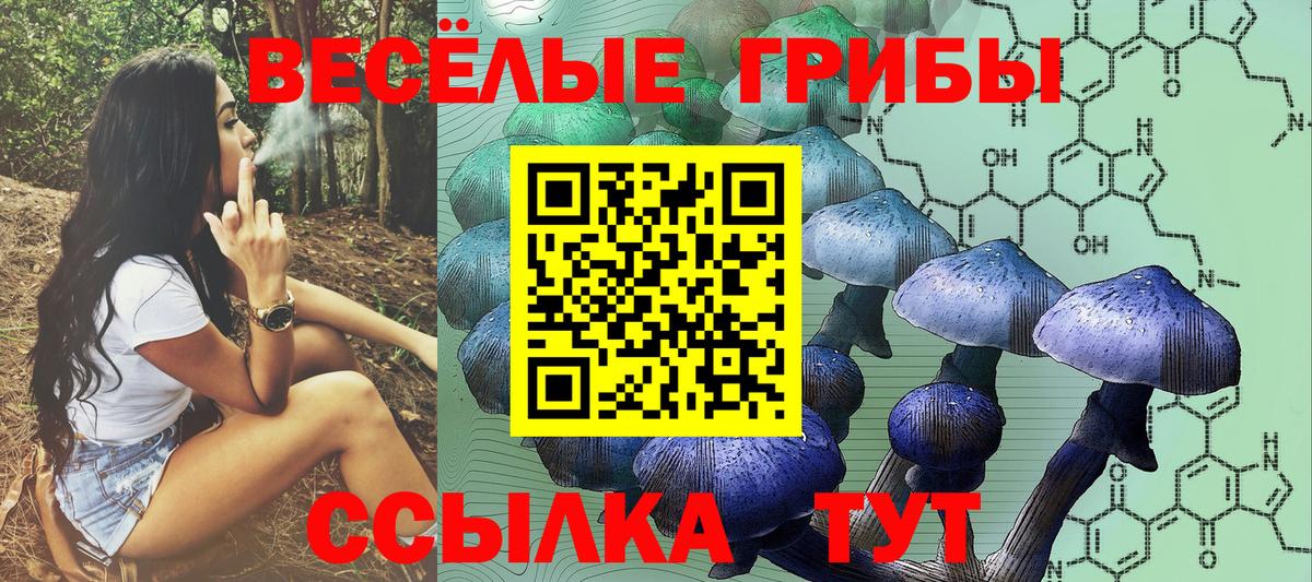 Псилоцибиновые грибы Psilocybine cubensis  Псилоцибиновые грибы Cubensis  Чайковский  Вход с VPN 