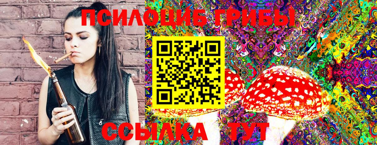 Псилоцибиновые грибы MAGIC MUSHROOMS Чайковский